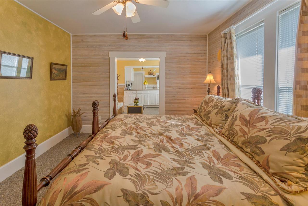 Meranova Guest Inn Dunedin Kültér fotó